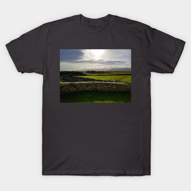 Isle of Man 01 T-Shirt by Kyarwon